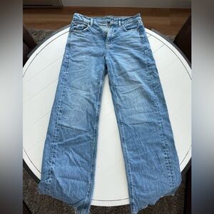 American Eagle Outfitters Wide Leg Jeans